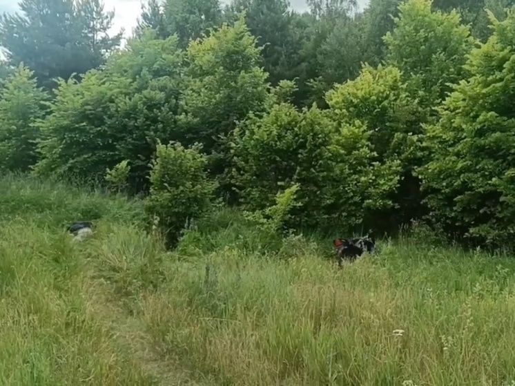 Мотоциклист опрокинулся в кювет и погиб в Нижегородской области