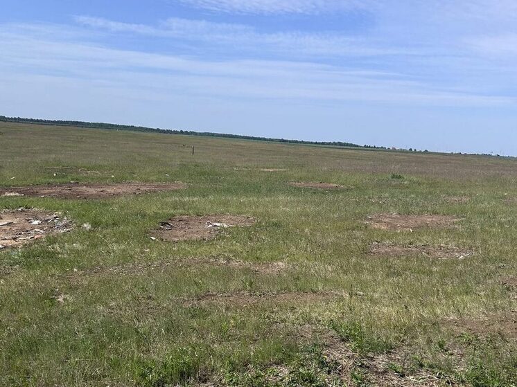 В Бурятии на изъятом за свалку сельхозучастке пасутся коровы