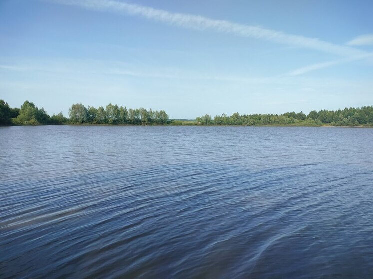 В Пензенской области берега рек очистили от 80 кубометров мусора