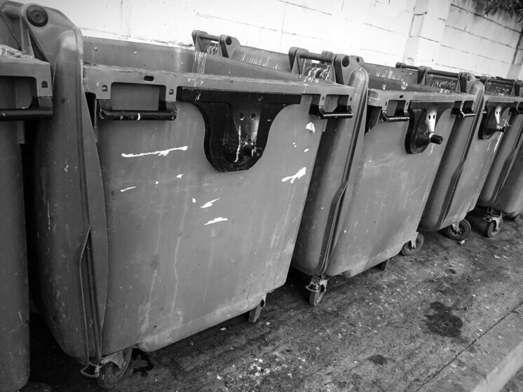 Универсального решения нет: Жабин прокомментировал «мусорную» проблему Ельца