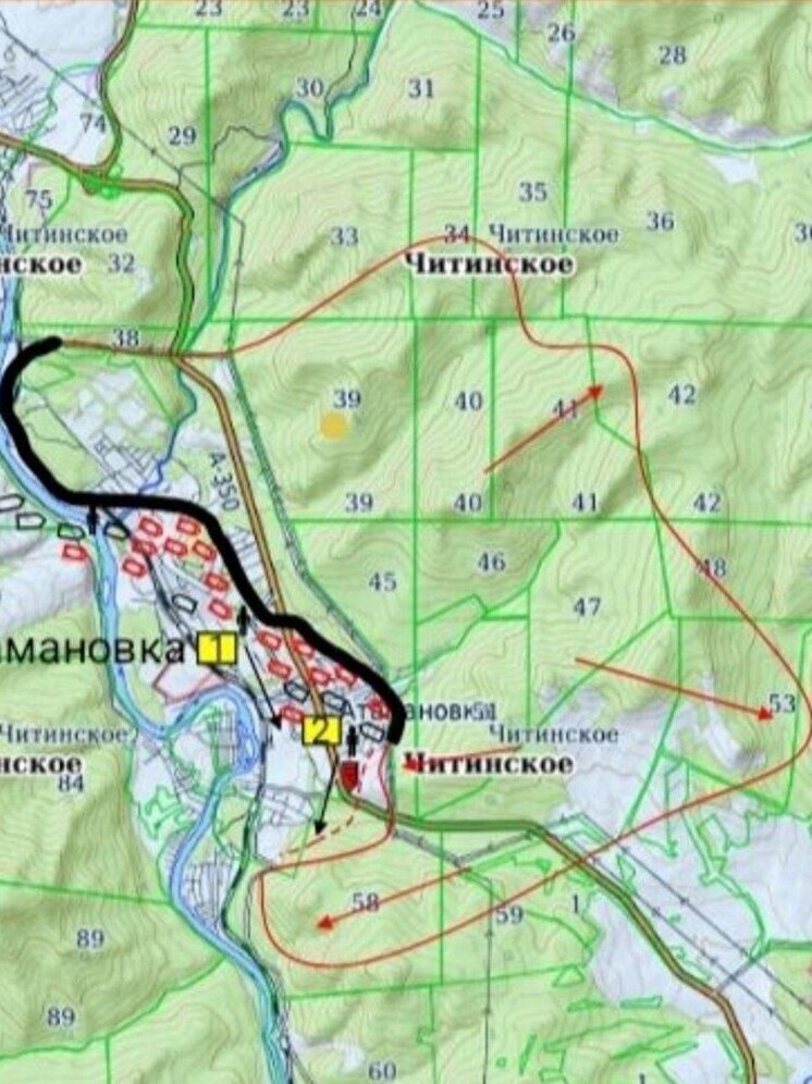 Лесной пожар площадью 350 гектаров горит в Забайкалье