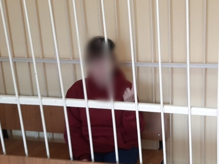 Жительница Каргопольского округа чуть не убила знакомого
