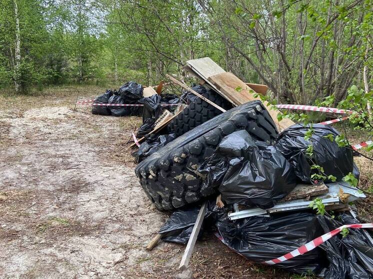600 кг мусора собрали на экофестивале в Уренгое