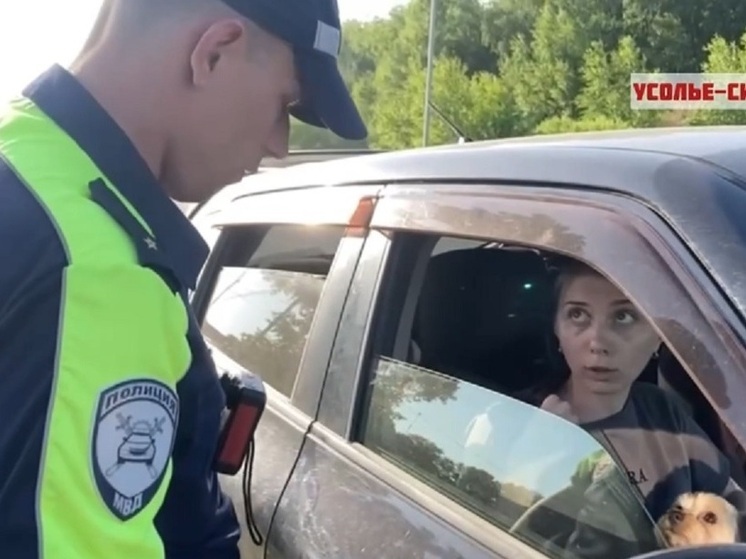 Рейд по ремням безопасности прошёл в Приангарье