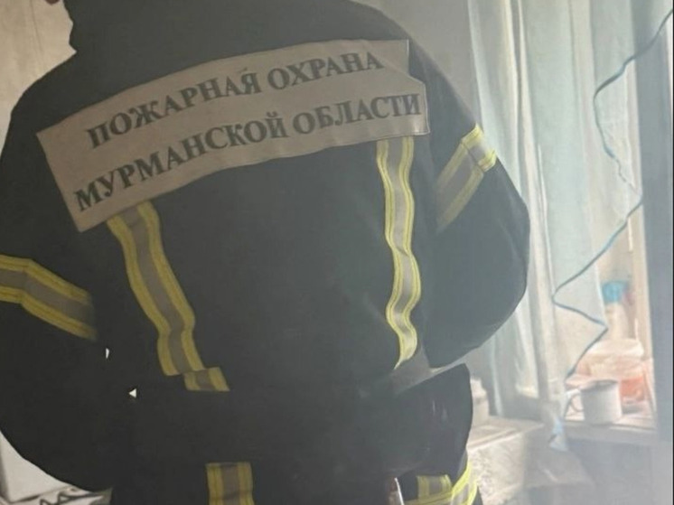 Пожарные спасли дом в Междуречье от кулинарной катастрофы