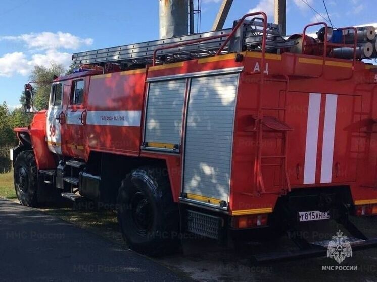 В садовом товариществе Старого Оскола подожгли дачный дом