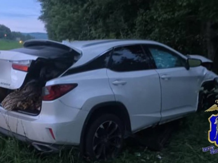 В Самарской области 45-летний водитель Lexus RX 200 на скорости вылетел в кювет