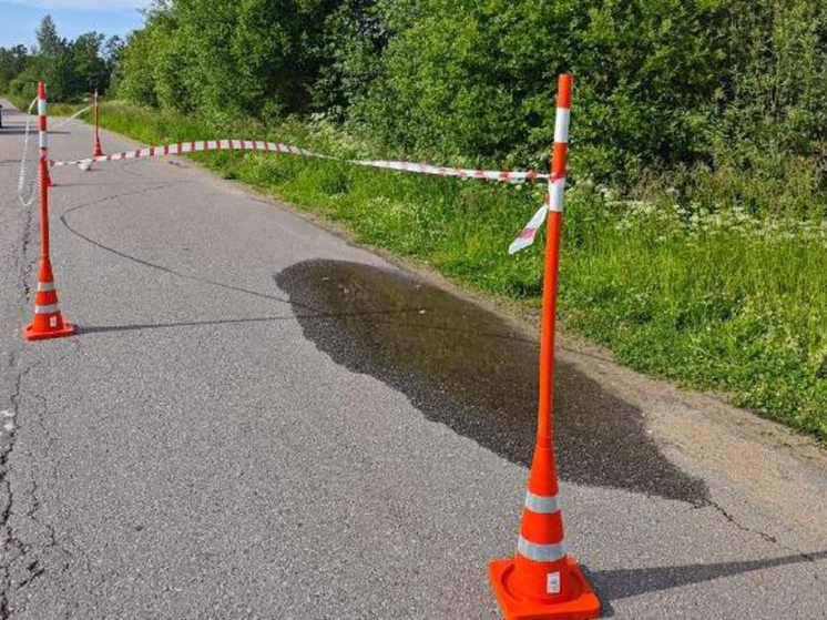 Молодой мотоциклист упал на дорогу ночью в Новгородской области