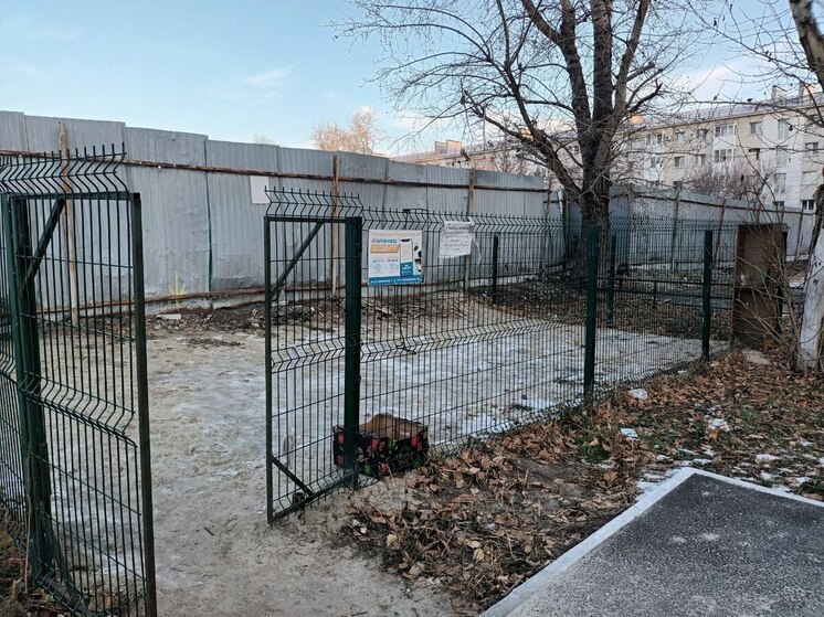 В Новосибирске собака напала на 10-летнего ребенка