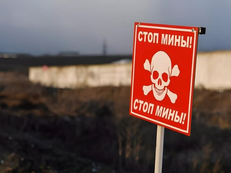 Саперы обезвредили более 500 тысяч боеприпасов в приграничных районах Курской области