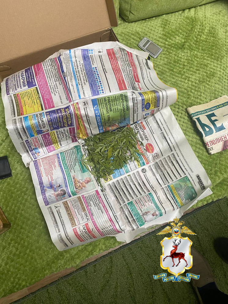 Нижегородца задержали за сбыт наркотиков через онлайн-магазин