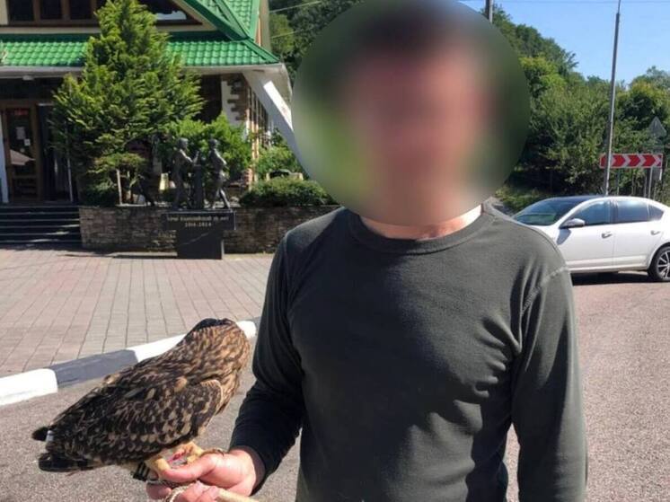 Деятельность очередного незаконного «фотоателье» с животными пресекли в Адлерском районе