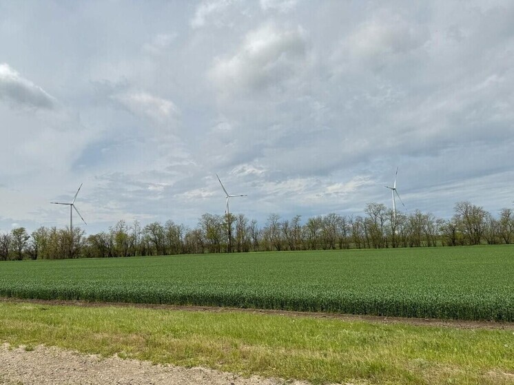 На Ставрополье планируют запустить экскурсии на Кочубеевскую ветроэлектростанцию