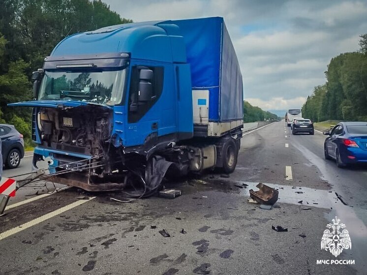 В Смоленской области грузовик врезался в ограждение на трассе М-1
