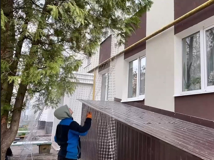 В белгородском приграничье защитят сеткой от дронов важные объекты