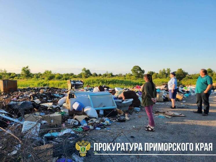 Прокуратура контролирует ликвидацию несанкционированной свалки в Лесозаводске