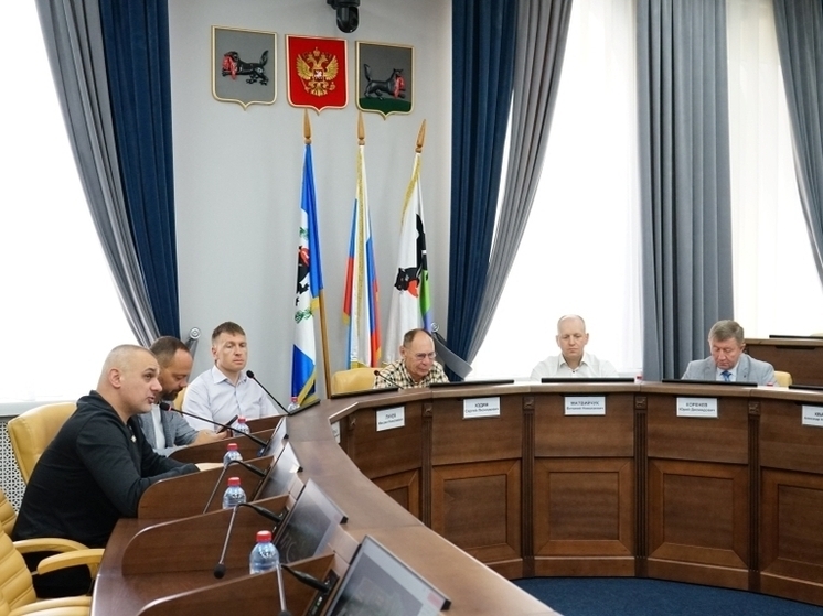 Семь вопросов рассмотрела комиссия думы Иркутска по муниципальному законодательству