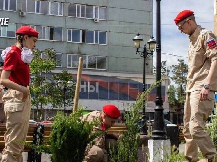 В Мелитополе высадили можжевельники в честь ветеранов ВОВ