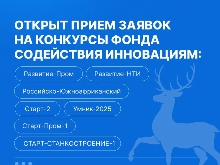 Нижегородцы могут получить до 30 млн рублей на свои проекты