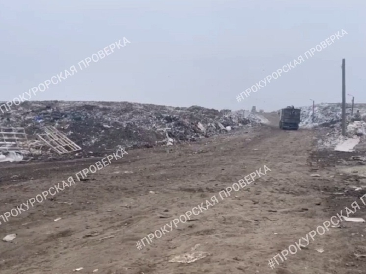 Тульская прокуратура вскрыла нарушения в работе мусорного полигона
