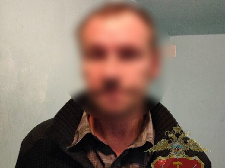 В Туле полицейские задержали вора, обокравшего собственную мать