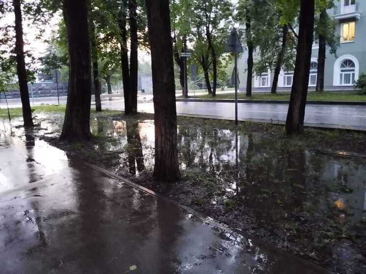 Вместе с потеплением в Пермь вернутся дожди