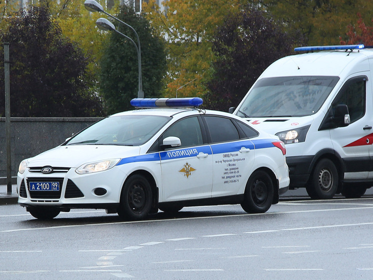 В Петербурге неизвестные вандалы осквернили Знамя Победы