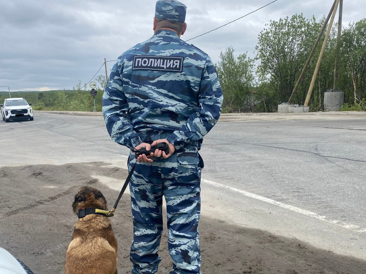 Рейд «Нелегал» в Кольском районе помог выявить 10 нарушений и водителя без документов