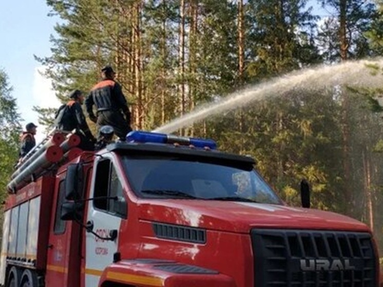 За минувшие сутки в Костромской области сгорели баня и сарай
