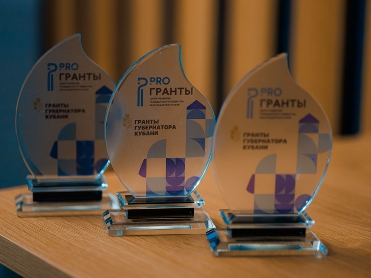Фонд ТОЧНО ДОБРО стал победителем конкурса «Гранты Губернатора Кубани»