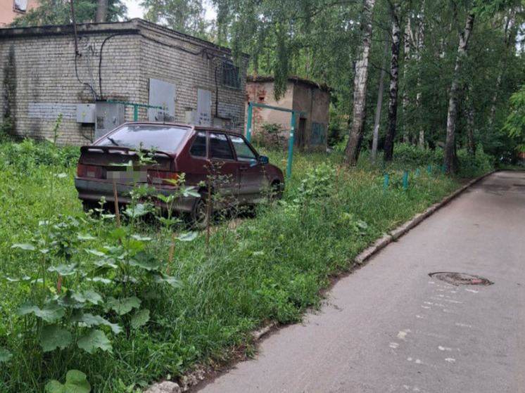УК обязали окосить дворовую территорию на проезде Машиностроителей в Рязани