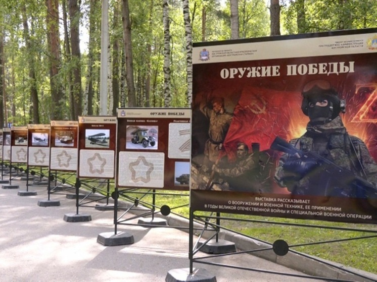 В костромском парке «Берендеевка» открылась фотовыставка «Оружие Победы»