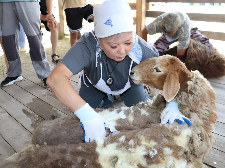 В Хакасии отметили День животновода на Сагайской поляне