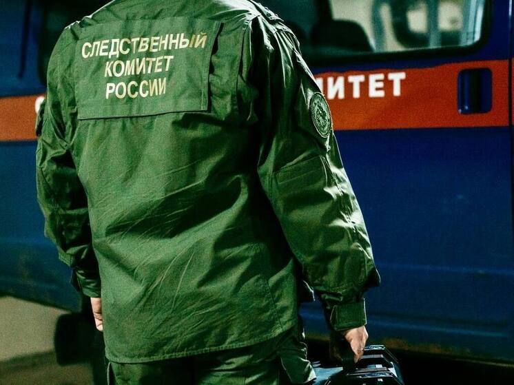 Подросток обвиняется в жестоком убийстве 10-летнего мальчика в Кировской области