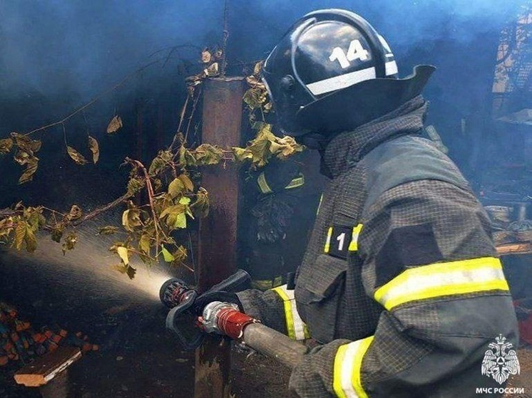 В Мелитополе загорелся гараж