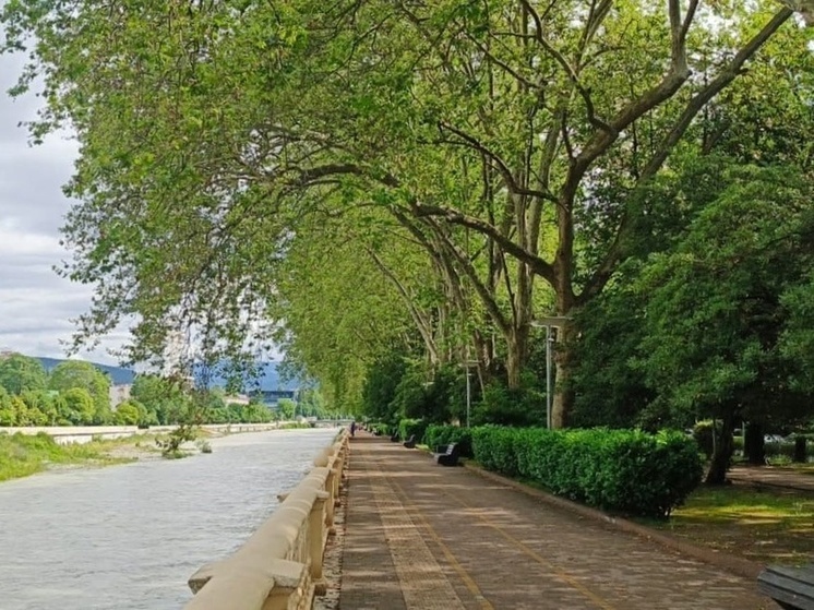 В Сочи 28 тысяч человек выбрали объект для благоустройства