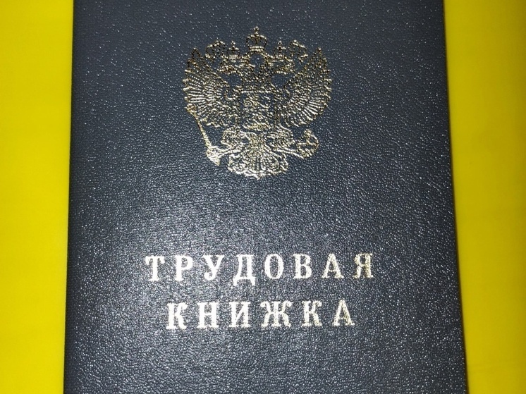 Более 27 тысяч работников готовы трудоустроить предприятия ДНР