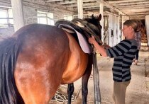 В селе Новогригорьевка продолжает функционировать единственная конная ферма на территории Генического муниципального округа Херсонской области