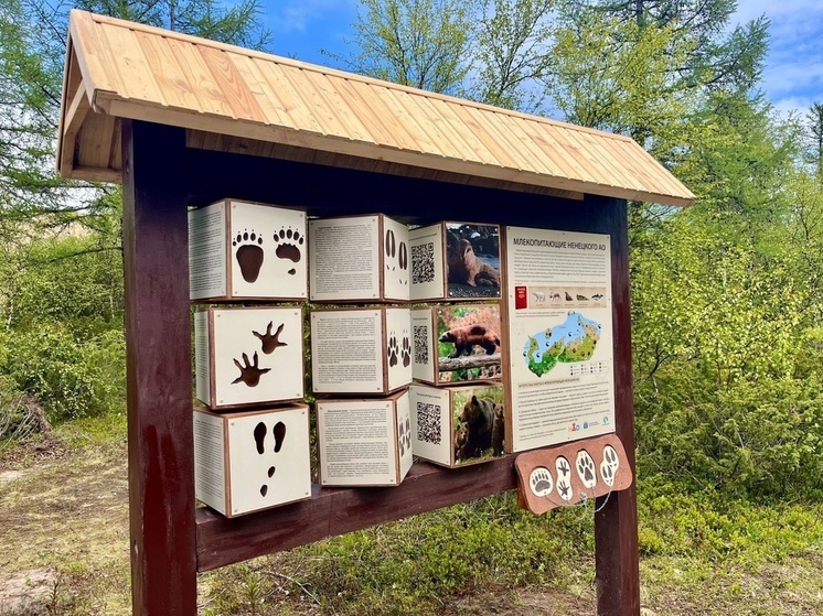  Новая экотропа на лыжероллерной трассе поселка Искателей