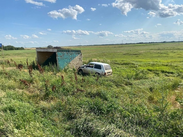 За неделю в дорожных авариях в Калмыкии пострадали 17 человек