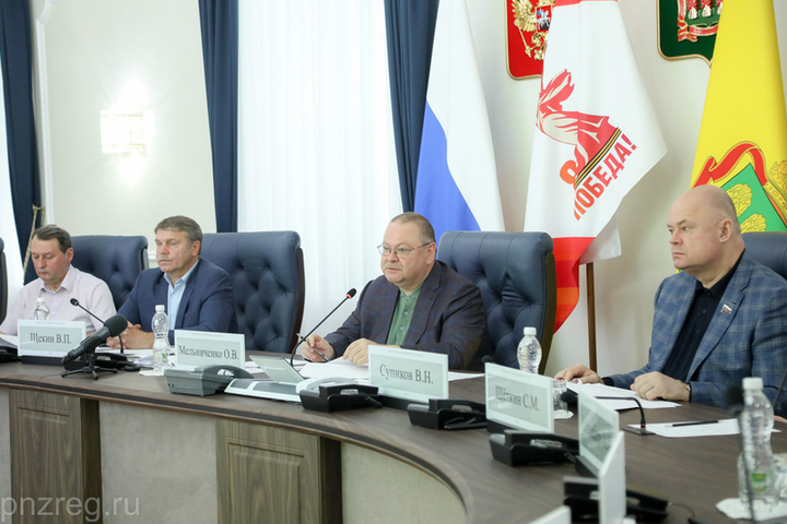 В Пензенской области продолжается работа по определению границ памятников истории и культуры