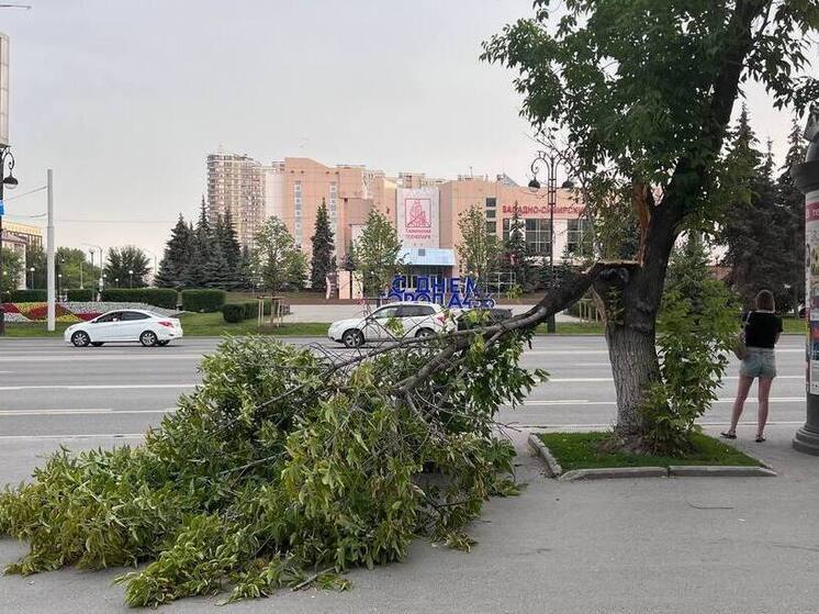Дожди с грозами продолжат терзать Тульскую область 24 июня
