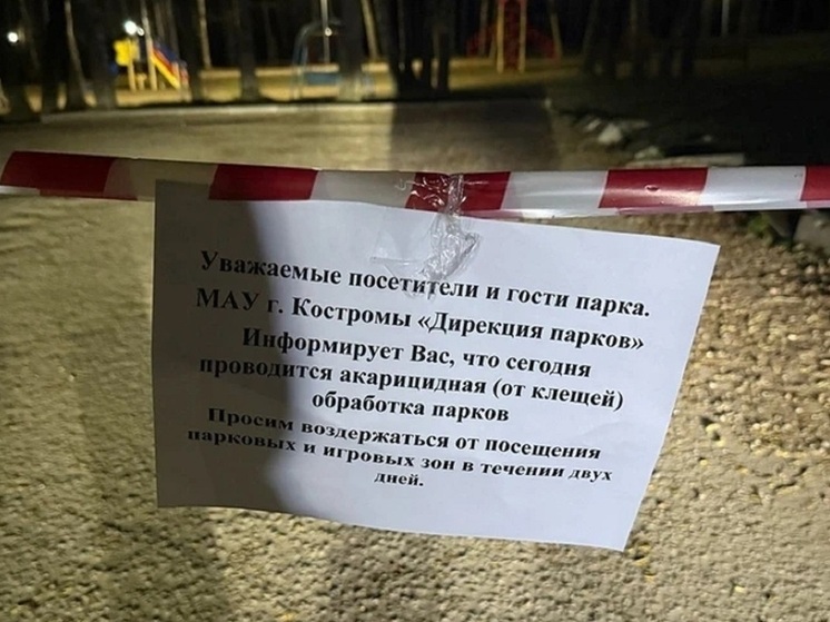 Дирекция парков просит костромичей воздержаться от посещения парков