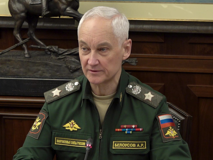 Главы военных ведомств РФ и Мали обсудили связи в сфере обороны