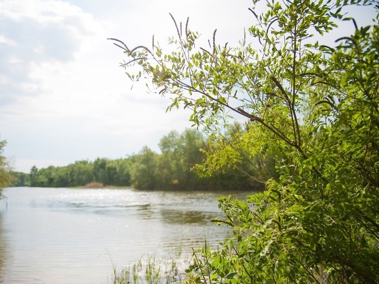 Народные приметы: чего не стоит делать 24 июня, в Варфоломеев день