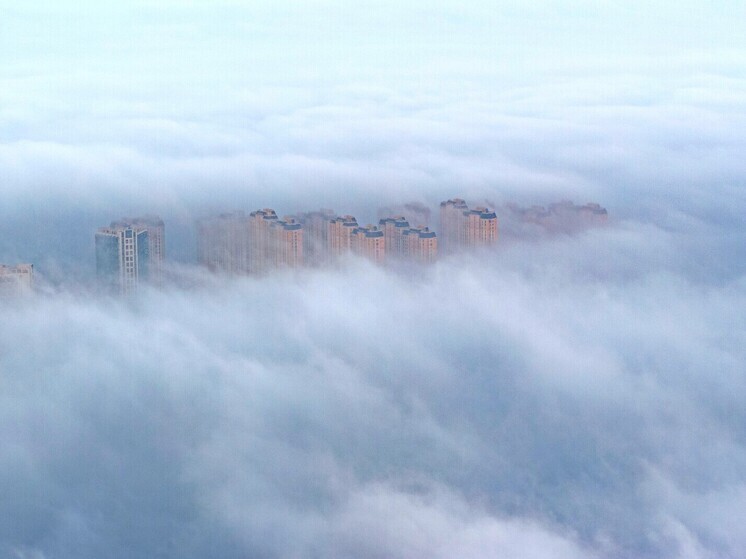 МЧС: в Московской области до утра вторника ожидается туман