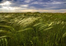 Ученые сделали несколько уникальных открытий в ходе раскопок в Карталинском районе Челябинской области.
