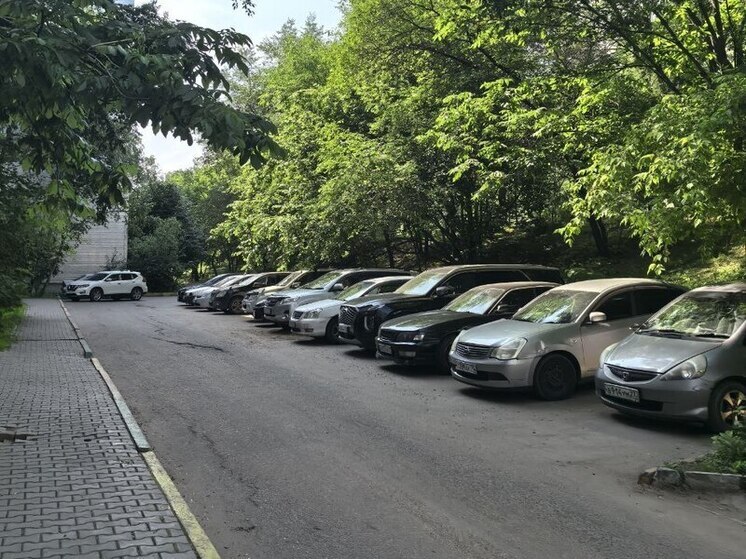 Хабаровчане чаще других россиян предпочитают автомобили редких цветов