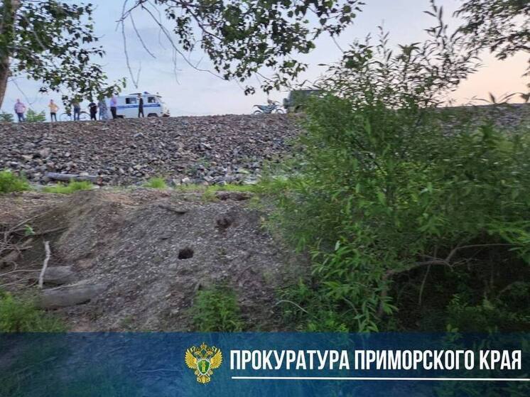 Пропавшую на реке девочку ищут в Лесозаводске, возбуждено уголовное дело