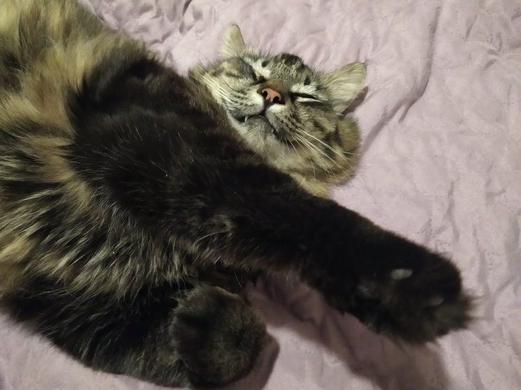 Во Владивостоке и Приморье установилась жаркая и сухая погода – до +33°C